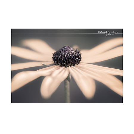 _DSA6131_23-09-04_edited-2-Sh-9x6-IG