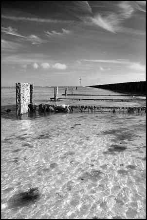 DSC04619_edited-2 B&W sm Sh b
