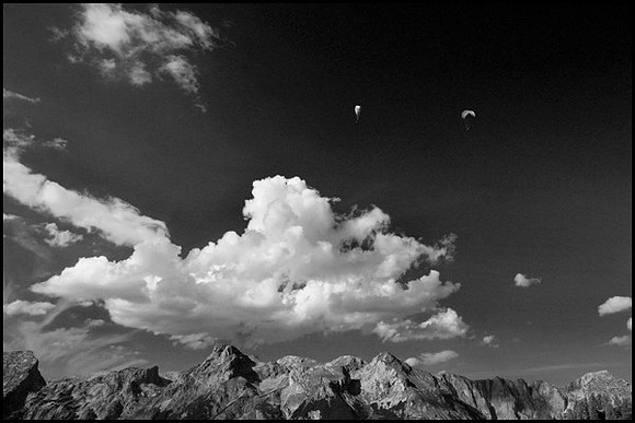 DSC01764_edited-2 B&W sm Sh b