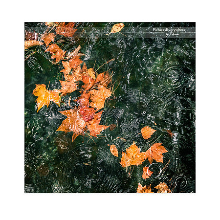 _DSA0033_21-09-20_edited-2-Sh-9x9-IG