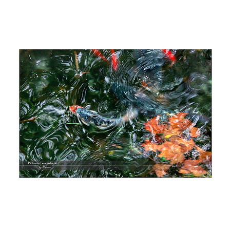 _DSA0057_21-09-20_edited-1-Sh-9x6-IG