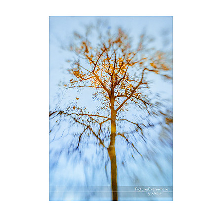 _DSA2307_22-11-23_edited-2-Sh-9x6-IG