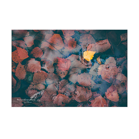 _DSA2550_22-11-24_edited-2-Sh-9x6-IG