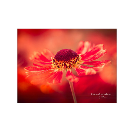 _DSA5707_22-08-08_edited-2-Sh-9x6-IG