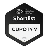 CUPOTY badge