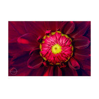recently uploaded