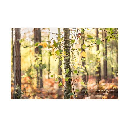 _DSC1013_10-25_edited-1-Sh-9x6-IG