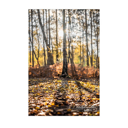 _DSC3240_11-10_edited-1-Sh-9x6-IG