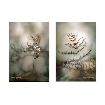 _DSC3342_11-10_edited-2-Sh-9x6-D-WM-Sq-IG