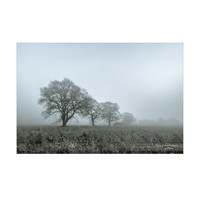 _DSC4266_11-27_edited-1-Sh-9x6-IG