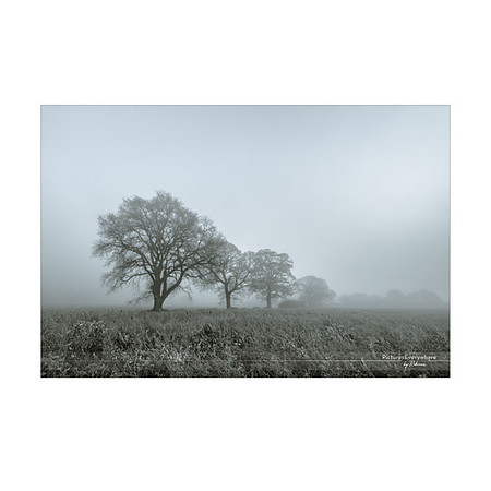 _DSC4266_11-27_edited-1-Sh-9x6-IG