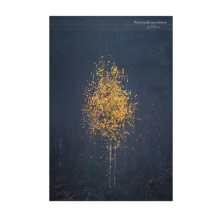 _DSC4917_12-07_edited-1-Sh-9x6-IG