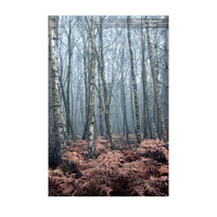 _DSC4631_12-07_edited-1-Sh-9x6-IG
