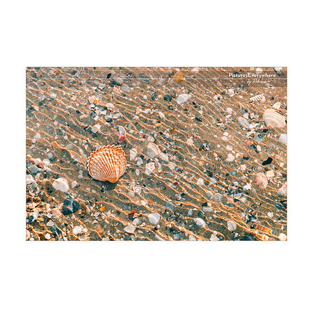 _DSB9872_23-01-31_edited-1-Sh-9x6-IG