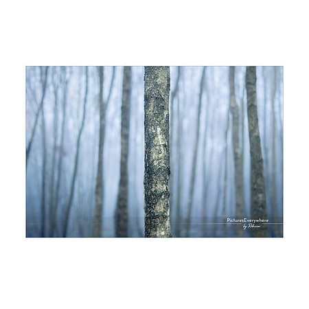 _DSC4611_12-07_edited-2-Sh-9x6-IG