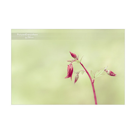 _DSA9970_23-05-14_edited-3-Sh-9x6-IG