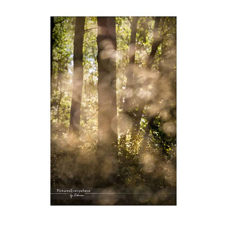 _DSC3101-06-21_edited-1-Sh-9x6-IG