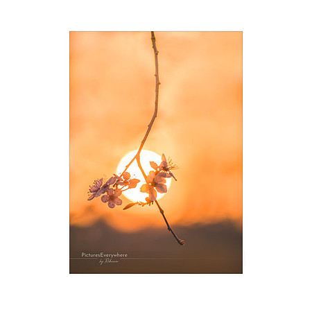 _DSC7567_20-03-23_edited-2-Sh-9x6-IG