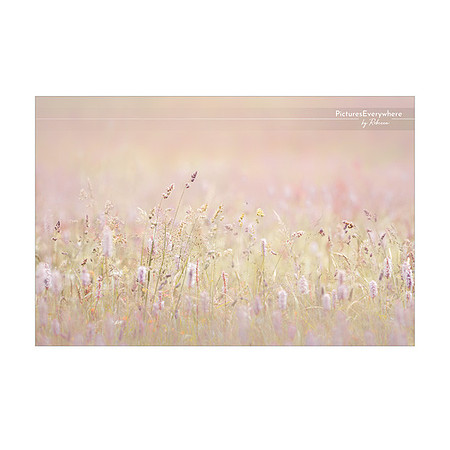 _DSA6109_23-06-28_edited-2-Sh-9x6-IG