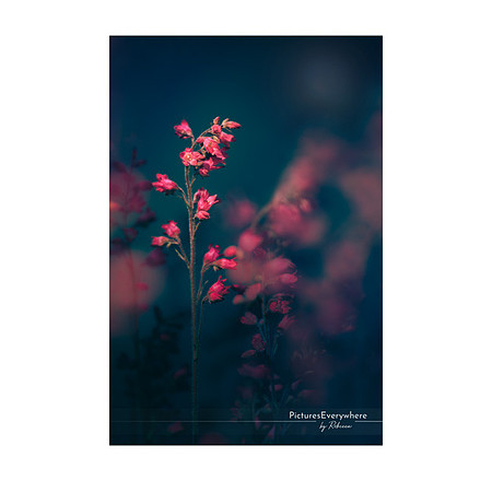 _DSA4160_23-06-17_edited-2-Sh-9x6-IG