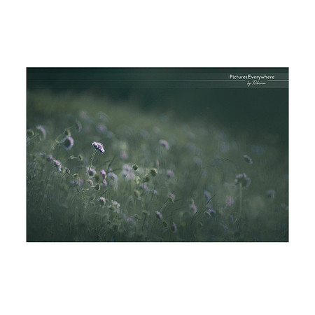 _DSA1871_23-06-12_edited-2-Sh-9x6-IG