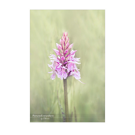 _DSA5953_23-06-28_edited-2-Sh-9x6-IG