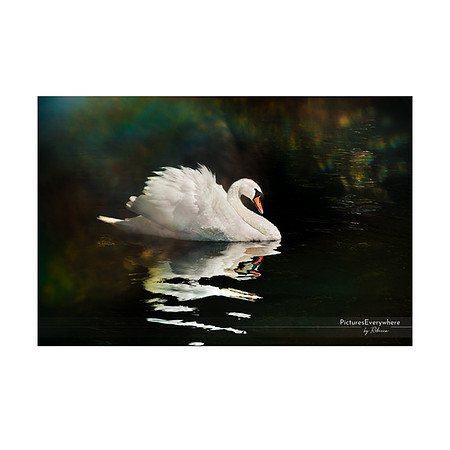 _DSA8916_23-05-27_edited-2 Sh 9x6 IG