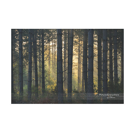 _DSC4517_21-05-02_edited-1-Sh-9x6-IG