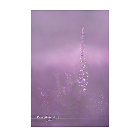_DSA8818_23-08-16_edited-2-Sh-9x6-IG