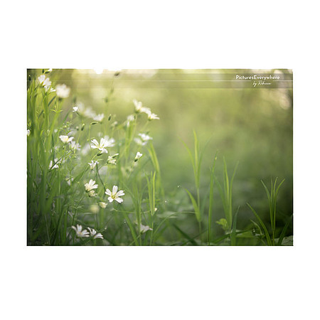 _DSC8089_21-05-30_edited-2-Sh-9x6-IG
