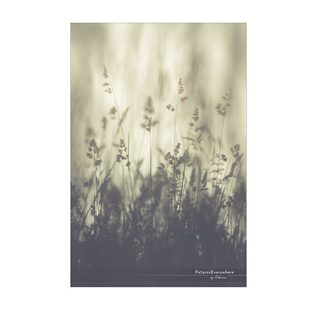 _DSA2024_21-06-14_edited-2-Sh-9x6-IG