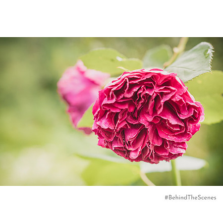 _DSA3456_21-06-28_edited-1 Sh IGBTS