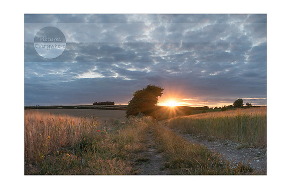 Late summer walk, Kingsclere, Hampshire, United Kingdom