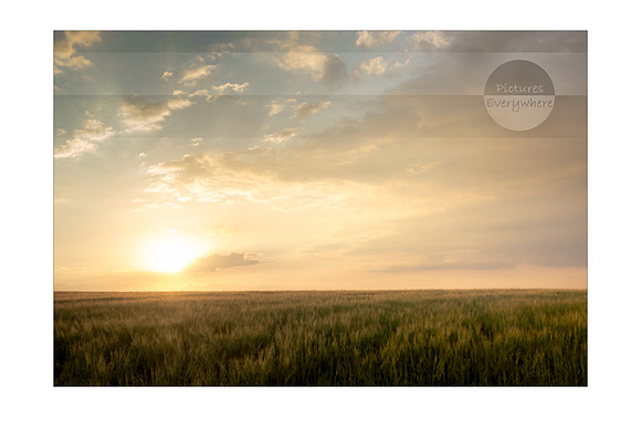Pale sunset, Kingsclere, Hampshire, United Kingdom
