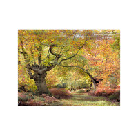 _DSA0118_23-11-05_edited-1-Sh-9x6-IG