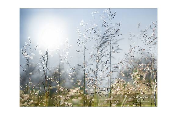 Summer days, Andermatt, Uri, Switzerland