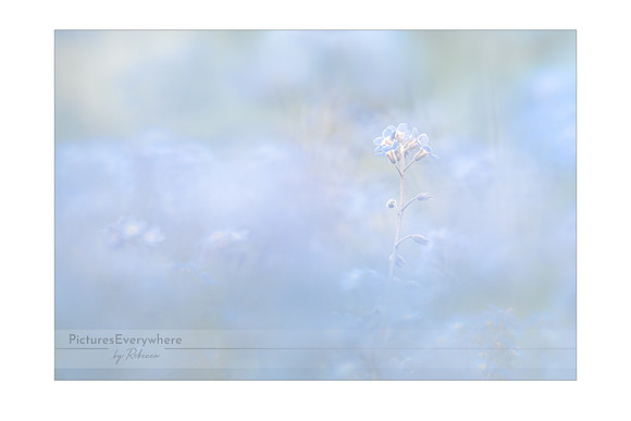 Standing out, Newtown, Newbury, Berkshire, United Kingdom