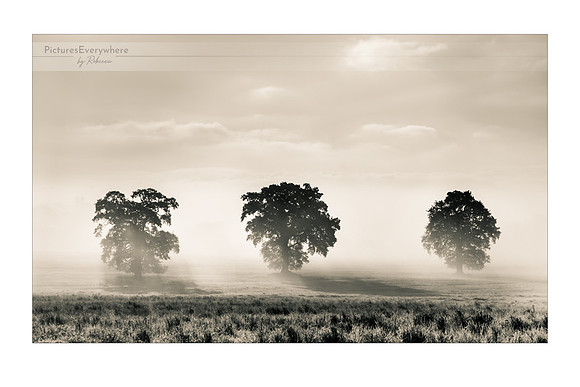 Three brothers, Mortimer, Berkshire, United Kingdom