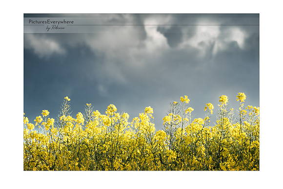 Storm coming, Mortimer, Berkshire, United Kingdom