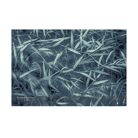 _DSA9465_21-09-18_edited-1-Sh-9x6-IG