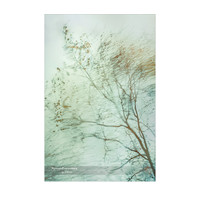 DSZ08413_23-11-28_edited-2-Sh-9x6-WM-9x6-IG