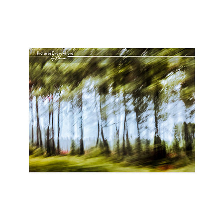 Whizzing through Cap Ferret, Nouvelle-Aquitaine, France