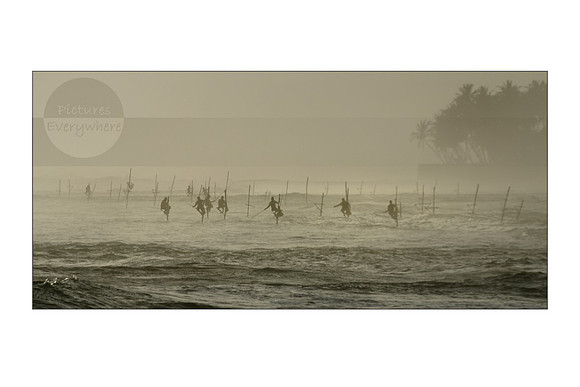 Stilt fishermen, Ahangama, Sri Lanka