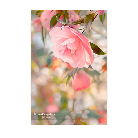_DSA3633_23-03-29_edited-2-Sh-9x6-IG