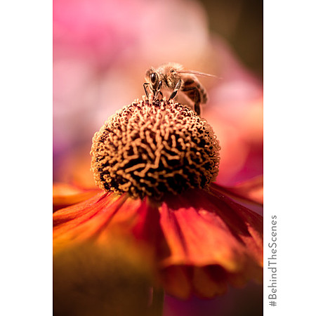 _DSA1455_28-07-29_edited-1 IGBTS