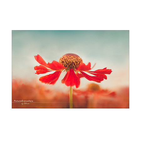 _DSA5689_28-08-08_edited-2-Sh-9x6-IG
