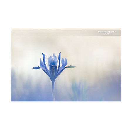 _DSA0075_23-02-26_edited-2-Sh-9x6-IG