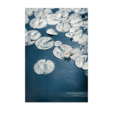 _DSA8287_22-05-27_edited-2-Sh-9x6-IG