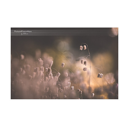 _DSA5404_28-08-08_edited-1-Sh-9x6-IG