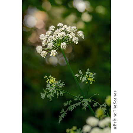 _DSA8014_22-03-22_edited-1 IGBTS
